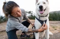 Front Range Harness valjaat, harmaavihreä - view: 1