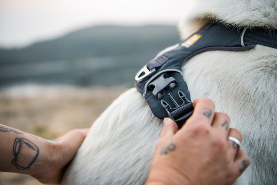 Front Range Harness valjaat, punainen, view: 8