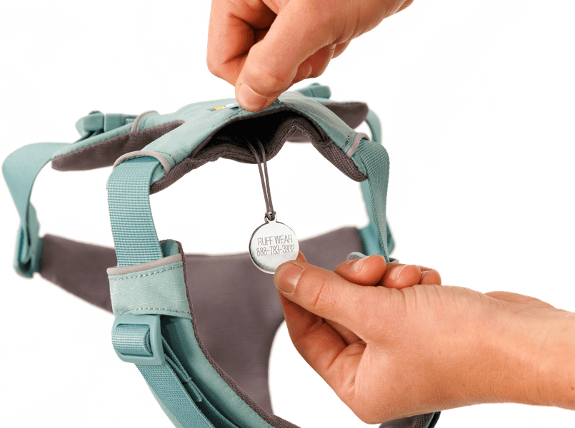 Front Range Harness valjaat, harmaavihreä, view: 2