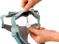 Front Range Harness valjaat, harmaavihreä - view: 2