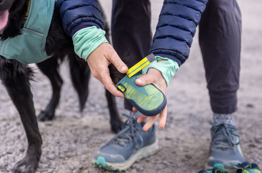 Hi & Light Trail Shoes koiran tossut, River Rock Green, view: 4