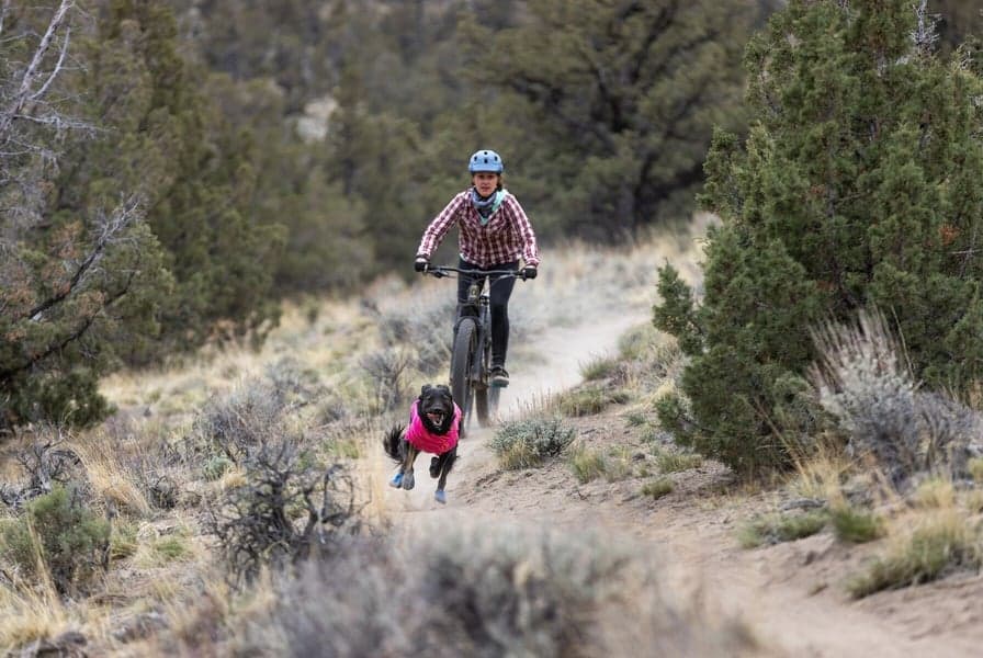 Hi & Light Trail Shoes koiran tossut, River Rock Green, view: 6