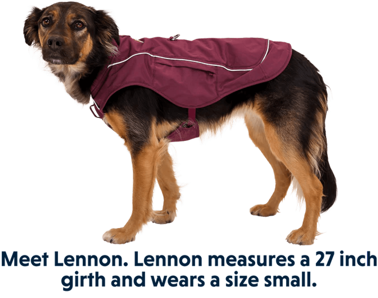 Overcoat Fuse Jacket koiran takki, punavioletti, view: 8