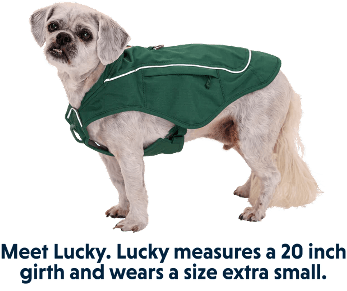 Overcoat Fuse Jacket koiran takki, vihreä, view: 6