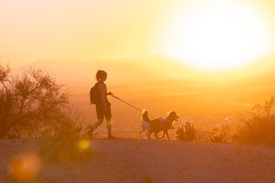 Swamp Cooler Harness viilentävät valjaat, pastellinsininen, view: 4