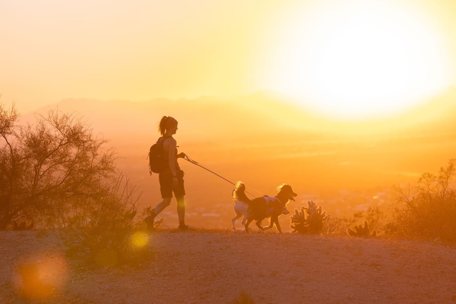 Swamp Cooler Harness viilentävät valjaat, pastellinvihreä, view: 7
