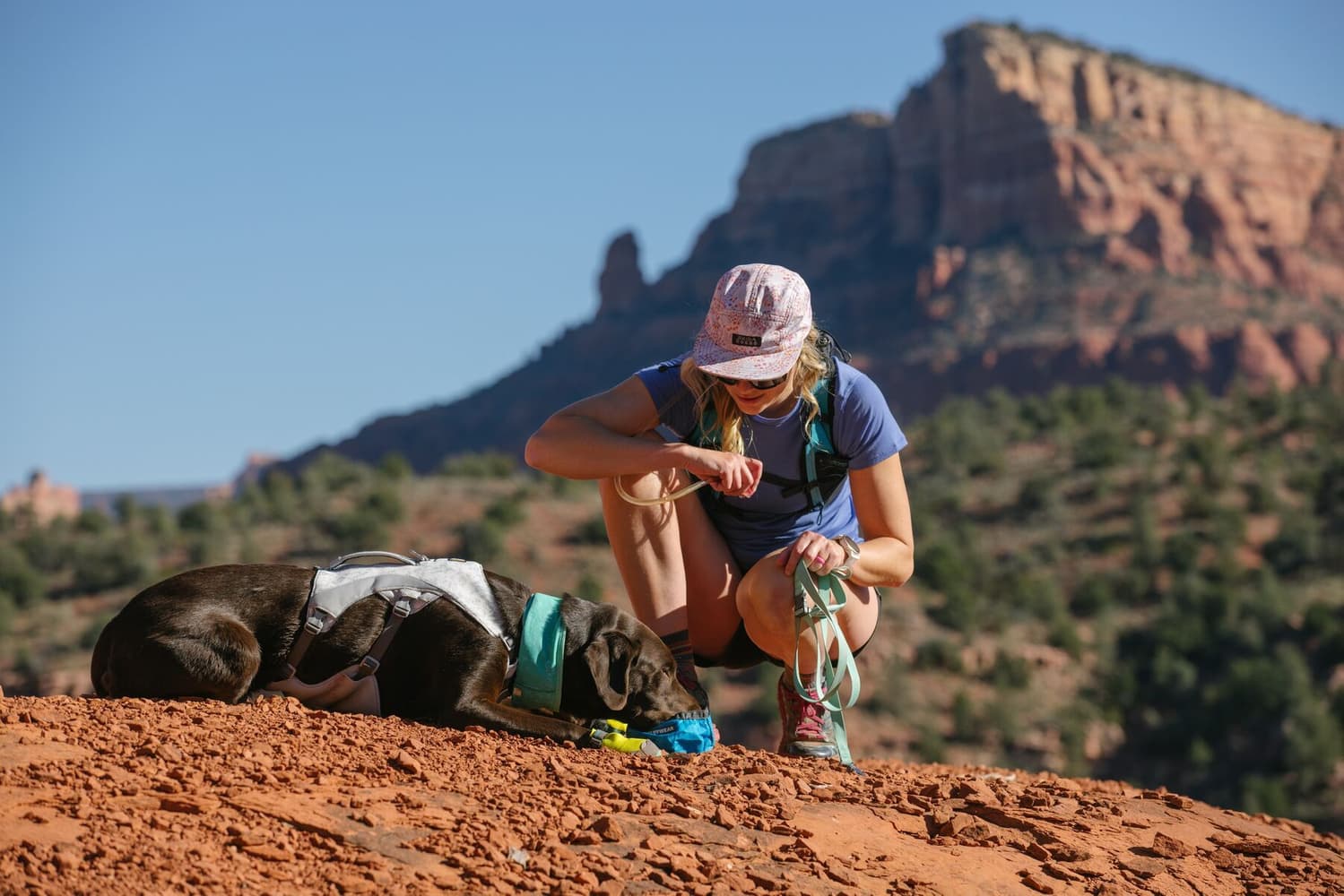 Swamp Cooler Harness Graphite Gray, view: 7