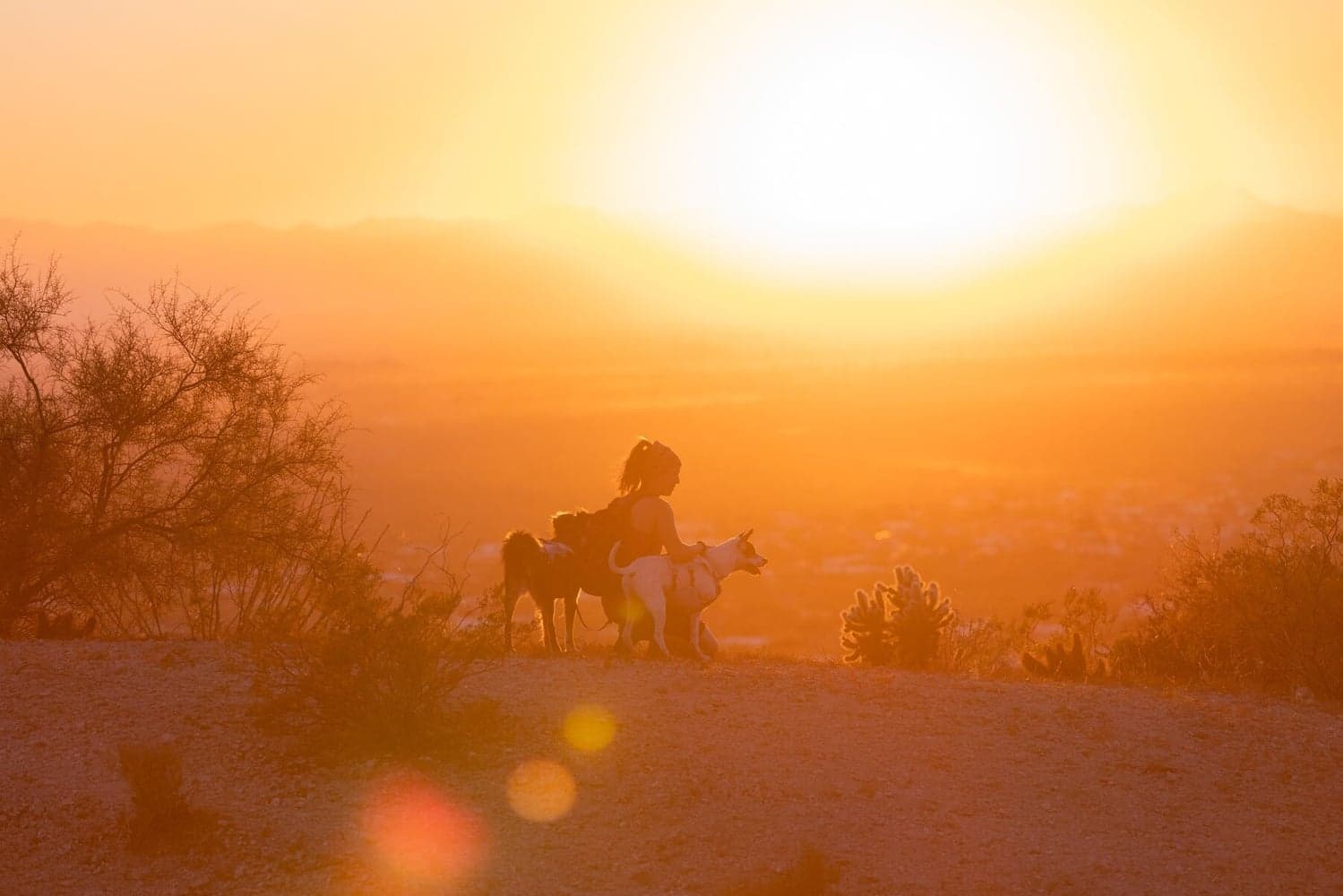 Swamp Cooler Harness viilentävät valjaat, pastellinsininen, view: 5
