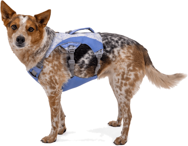 Swamp Cooler Harness viilentävät valjaat, pastellinsininen, view: 1