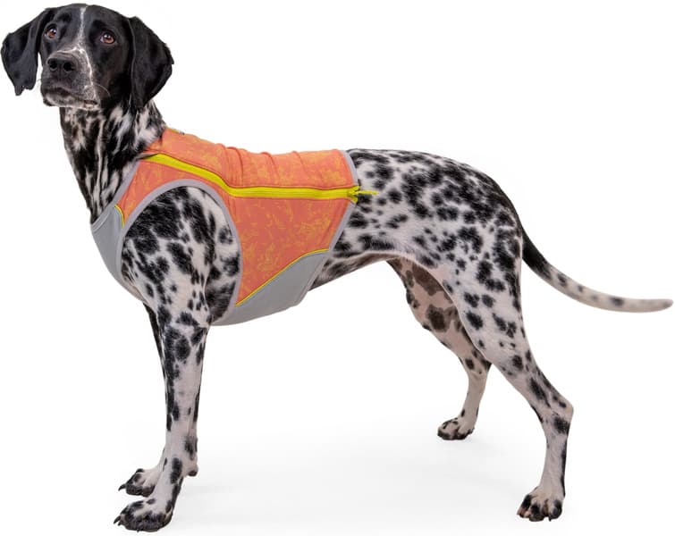 Swamp Cooler Zip Vest koiran viilentävä liivi, view: 1