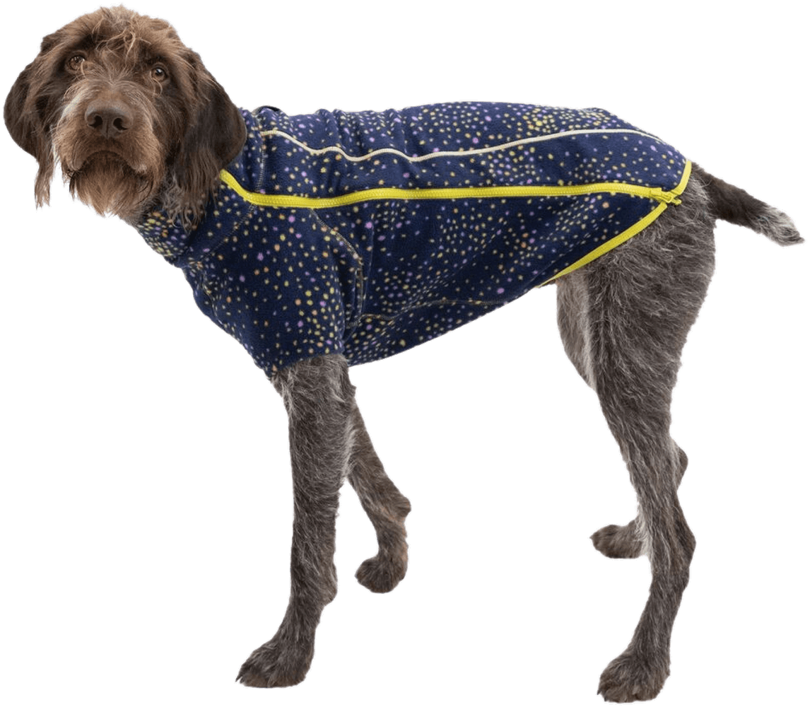 Climate Changer Jacket koiran fleecetakki, Galaxy, view: 5