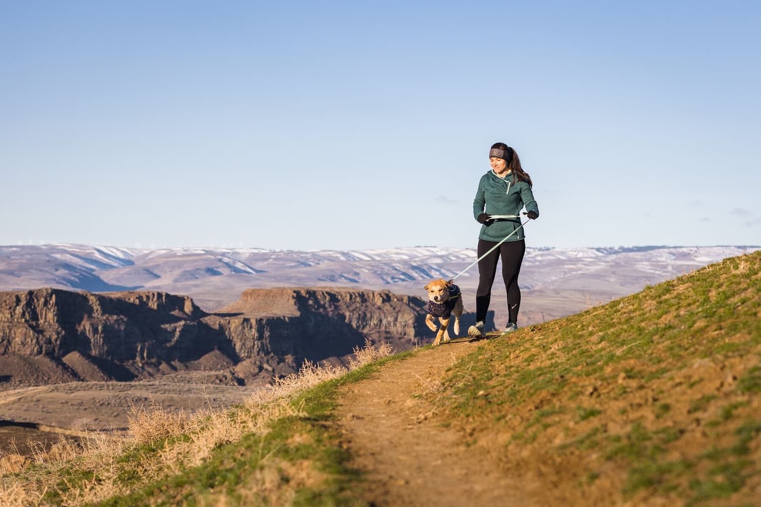 Climate Changer Jacket koiran fleecetakki, Galaxy, view: 8