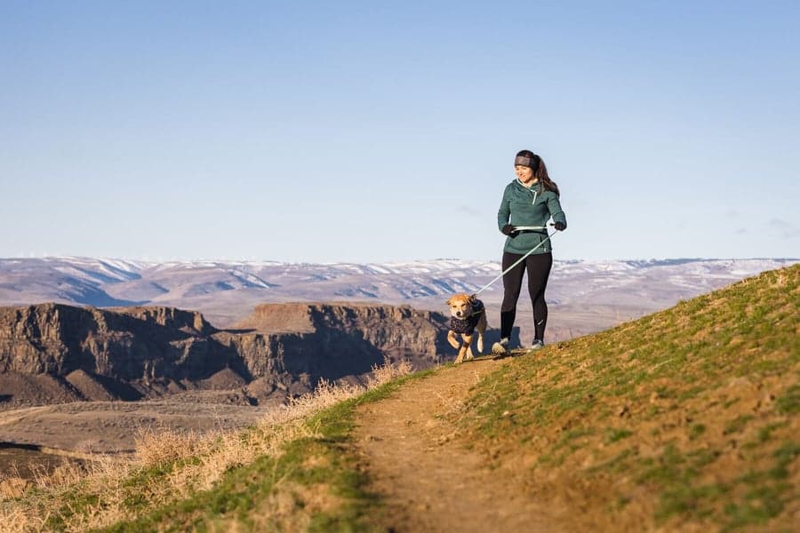 Climate Changer Jacket koiran fleecetakki, Galaxy, view: 8