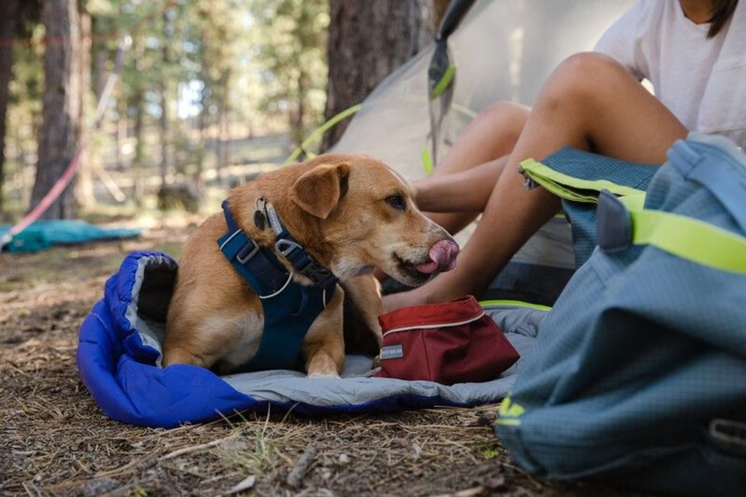 Ruffwear Quencher Bowl Fired Brick Huckleberry, view: 3