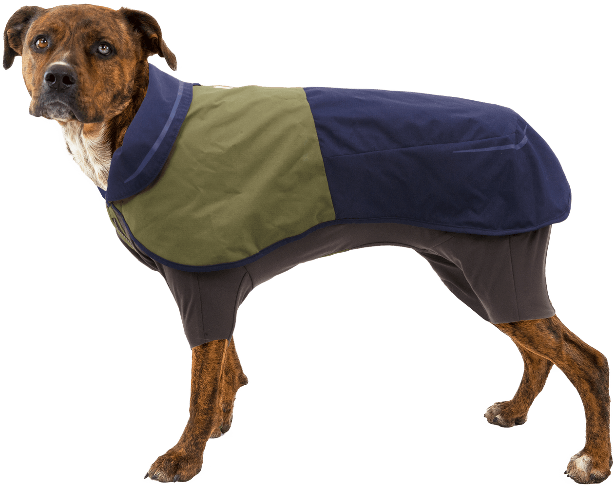 Sun Shower Coverall koiran sadehaalari, M-XL, Midnight Blue, view: 3
