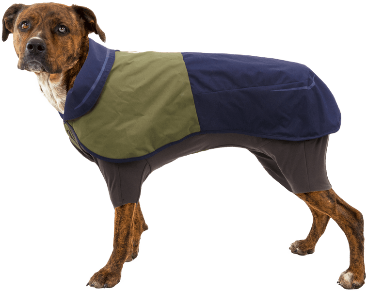 Sun Shower Coverall koiran sadehaalari, M-XL, Midnight Blue, view: 3