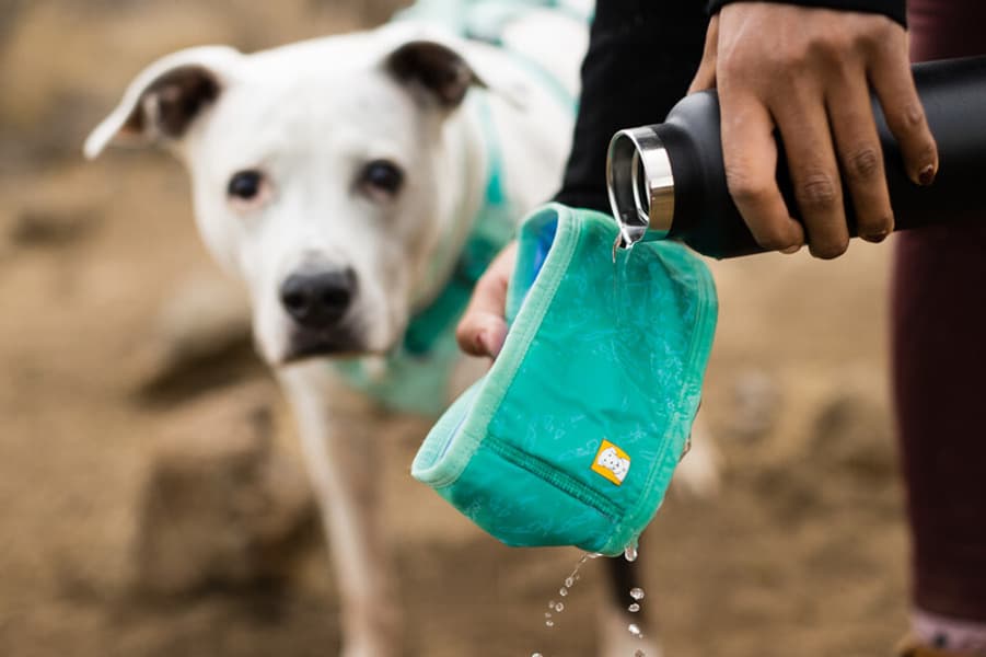 Swamp Cooler Neck Gaiter koirien viilennyskauluri, view: 3