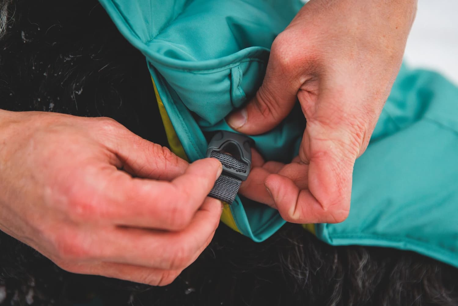 Quinzee Insulated Jacket koiran talvitakki, River Rock Green, view: 8