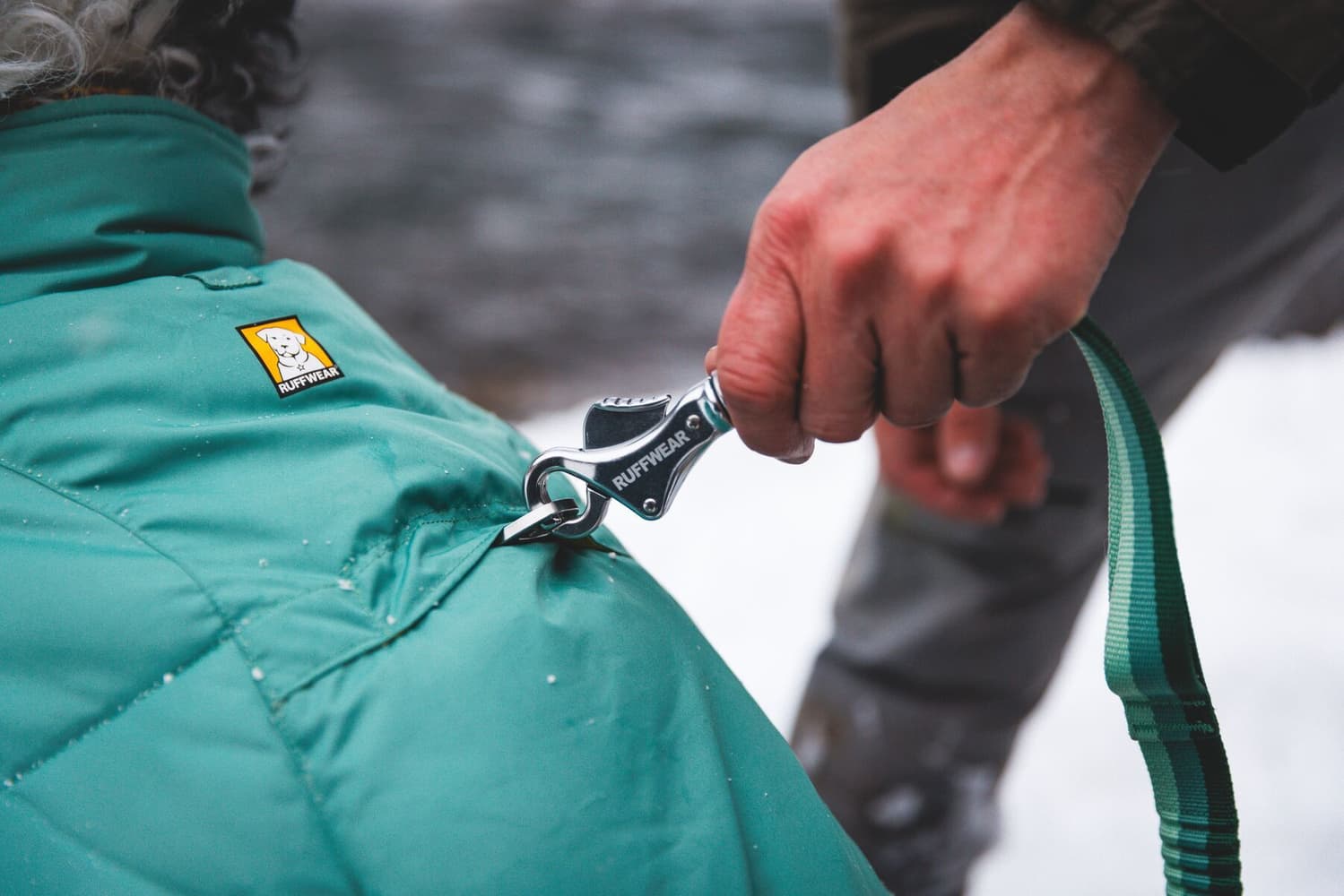 Quinzee Insulated Jacket koiran talvitakki, River Rock Green, view: 6