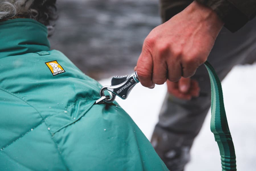 Quinzee Insulated Jacket koiran talvitakki, River Rock Green, view: 6