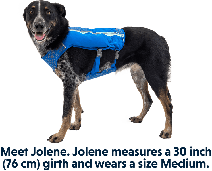 Trail Runner Running Vest koiran reppuliivi, sininen, view: 9