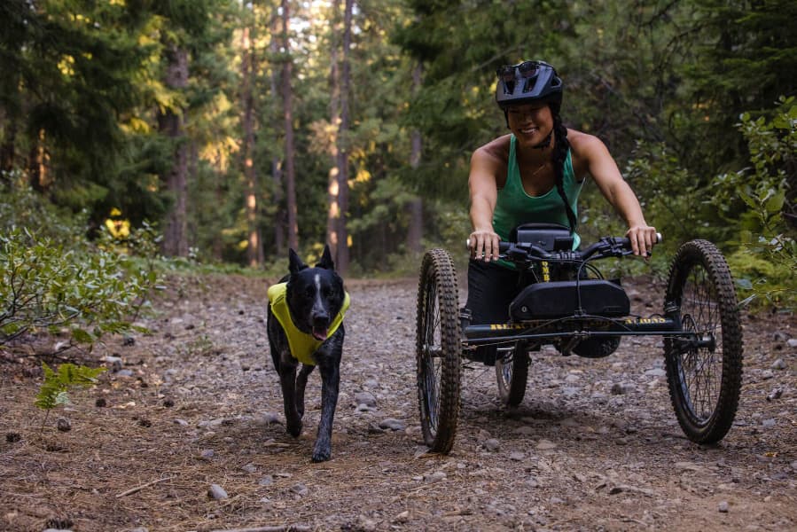 Trail Runner Running Vest koiran reppuliivi, sininen, view: 15