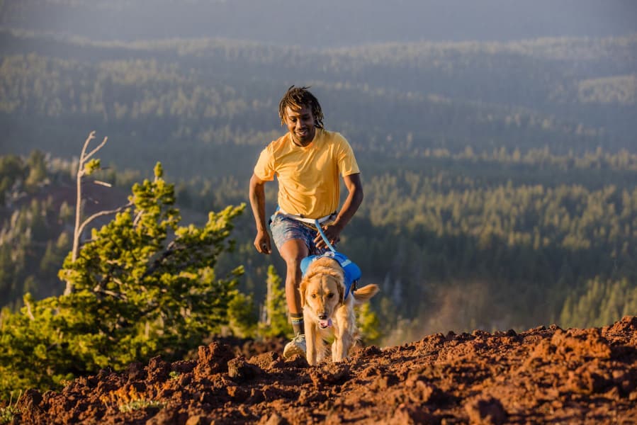 Trail Runner Running Vest koiran reppuliivi, sininen, view: 6