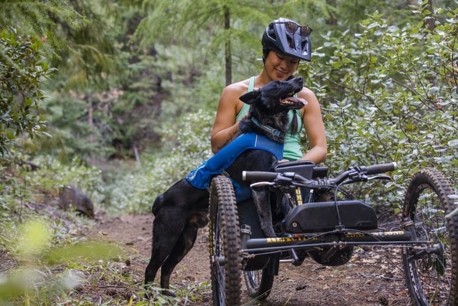 Trail Runner Running Vest koiran reppuliivi, sininen, view: 14