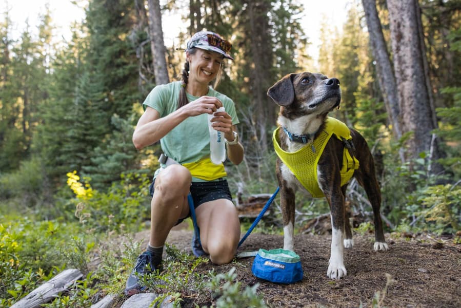 Trail Runner Running Vest koiran reppuliivi, keltainen, view: 10