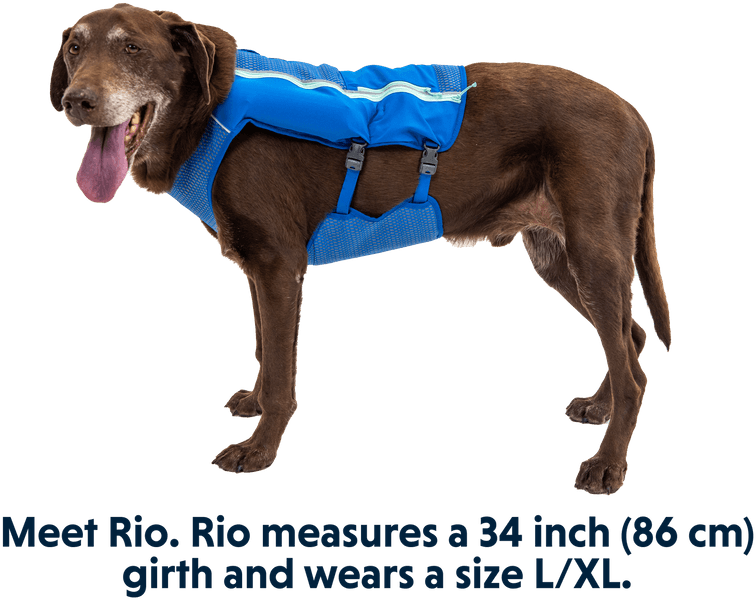 Trail Runner Running Vest koiran reppuliivi, sininen, view: 8