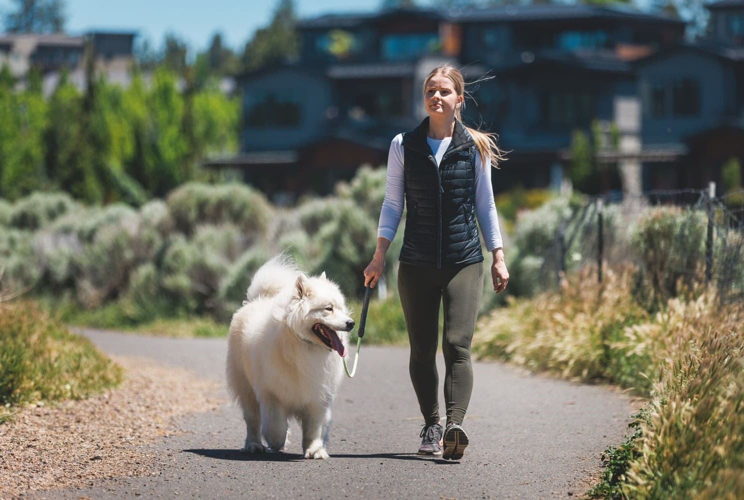 Knot-a-Long Leash koiran talutushihna, Blue Pool, view: 6