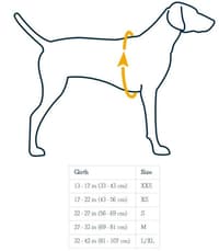 Cloud Chaser Soft Shell Jacket Obsidian Black - view: 3