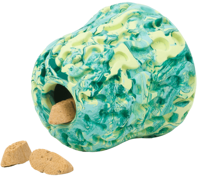 Morel koiran lelu, Moss Green, view: 1