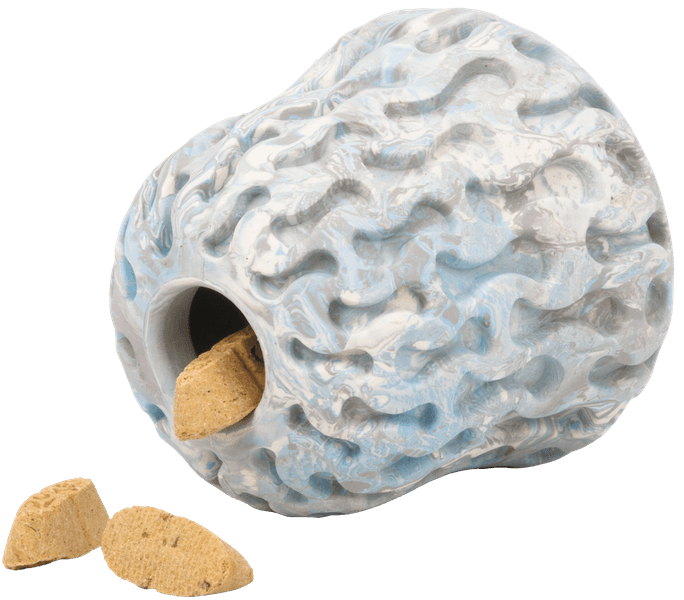 Morel koiran lelu, Gray Sky, view: 1