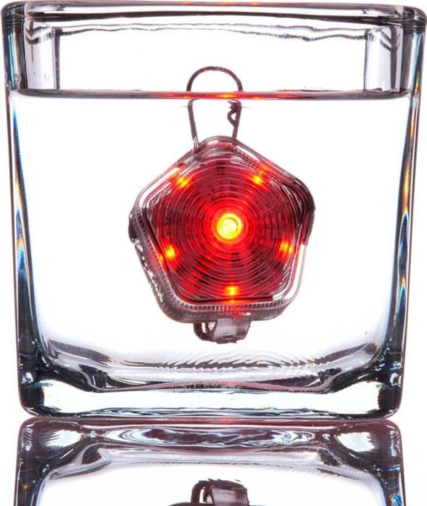 The Beacon huomiovalo, Clear Lake, view: 7