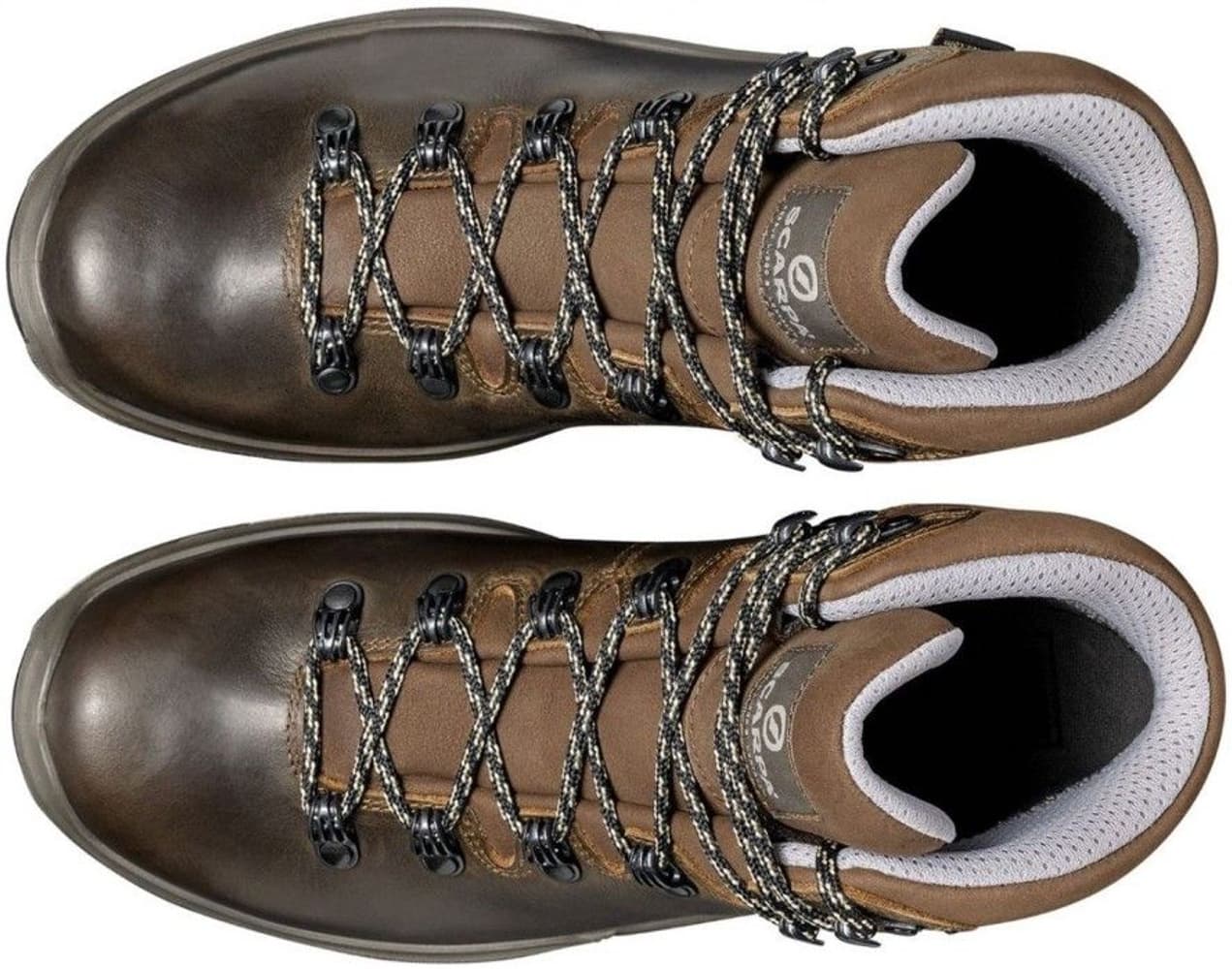 Terra GTX MI naisten retkeilykengät, ruskea, view: 3