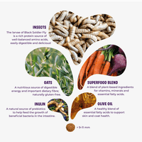 hyönteispohjainen koiranruoka 2 kg - view: 1