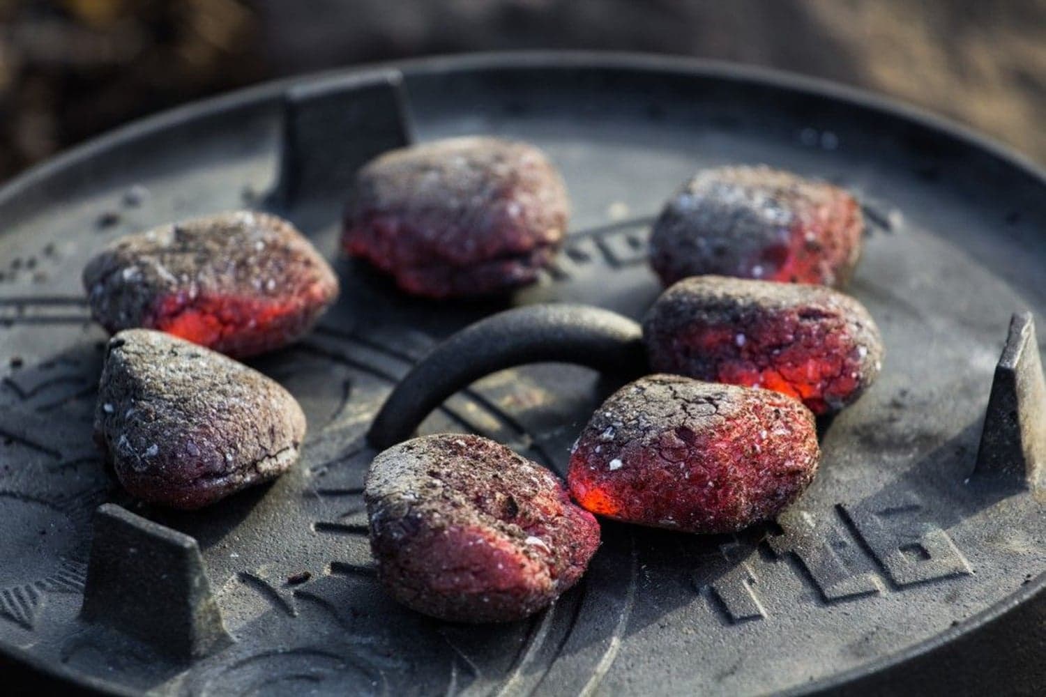 Dutch Oven valurautapata, 6,1 litraa, Ft6, view: 4