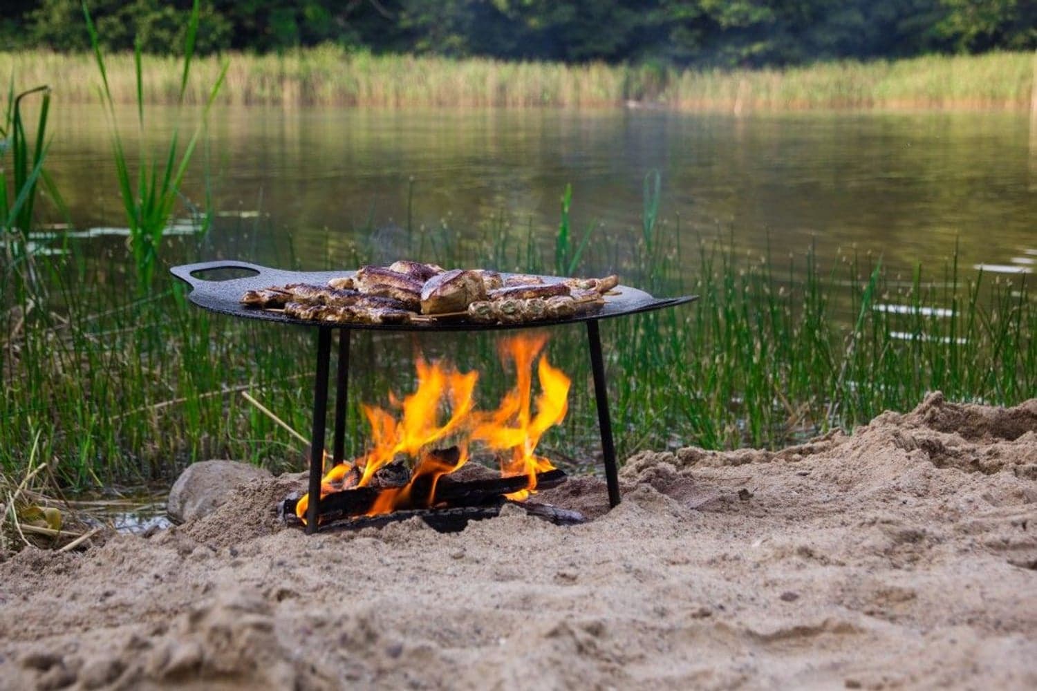 Griddle and Fire Bowl 48 cm Fs48, view: 5