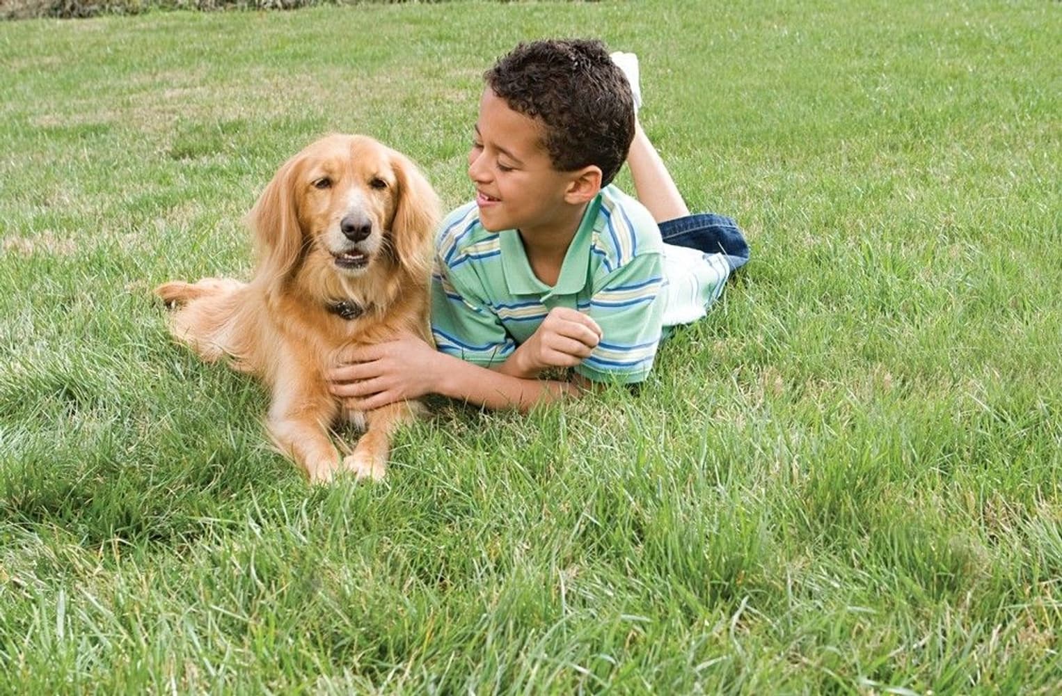 Perus Pihavahti, view: 2