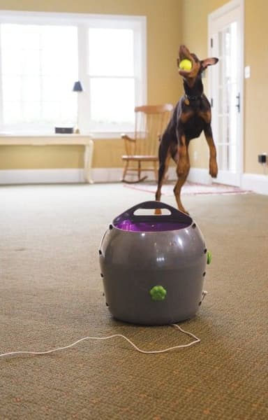 PetSafe Automatic Ball Launcher -pallonheittokone, view: 2
