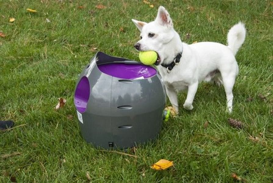 PetSafe Automatic Ball Launcher -pallonheittokone, view: 1