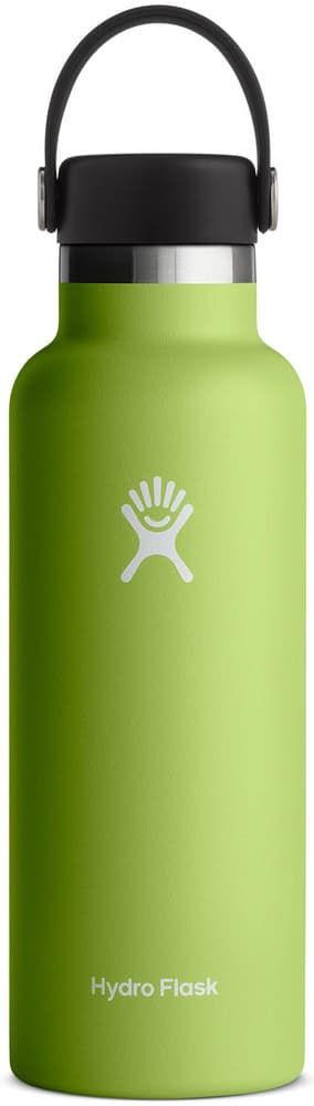 Std Flex juomapullo, 532 ml Seagrass, view: 0