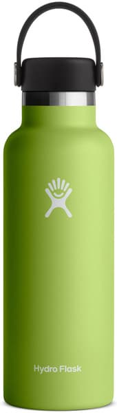 Std Flex juomapullo, 532 ml Seagrass, view: 0