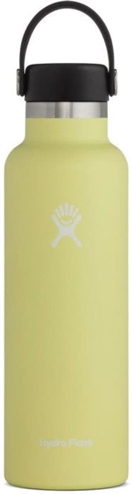 HydroFlask Insulated Standard Mouth Flex -juomapullo, 710 ml, keltainen, view: 0