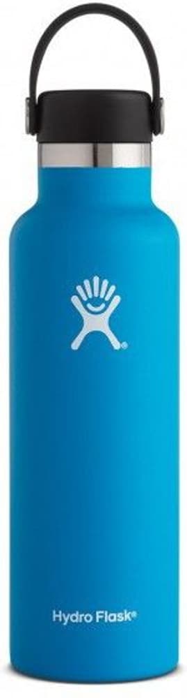 HydroFlask Standard Mouth Flex 621 ml Pacific, view: 0