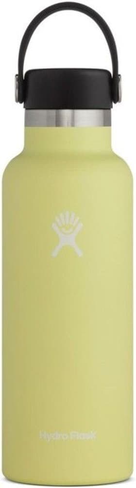 HydroFlask Insulated Standard Mouth Flex -juomapullo, 532 ml, keltainen, view: 0