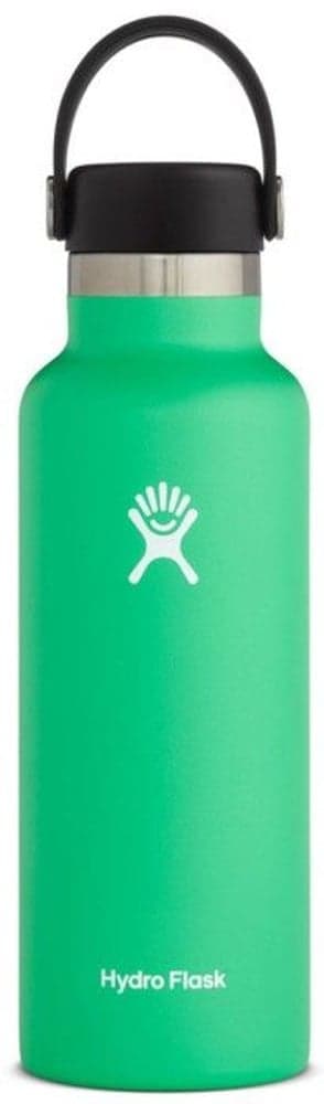 Insulated Standard Mouth Flex 532 ml Spearmint, view: 0