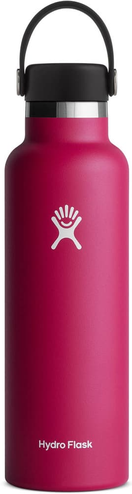 Hydroflask Std Flex Straw 21oz (621ml) Pacific, view: 0