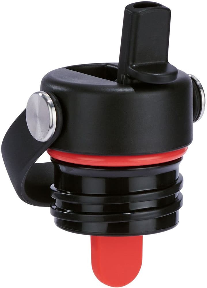 Std Flex Straw eristävä juomapullo, 21oz (621ml), Black, view: 2